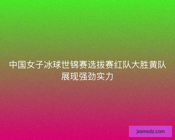 中国女子冰球世锦赛选拔赛红队大胜黄队展现强劲实力